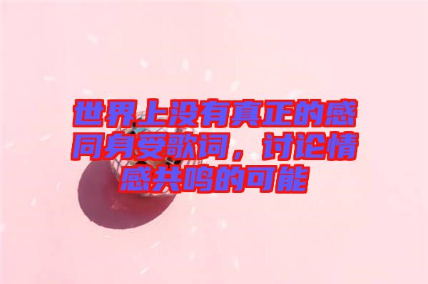 世界上沒有真正的感同身受歌詞，討論情感共鳴的可能