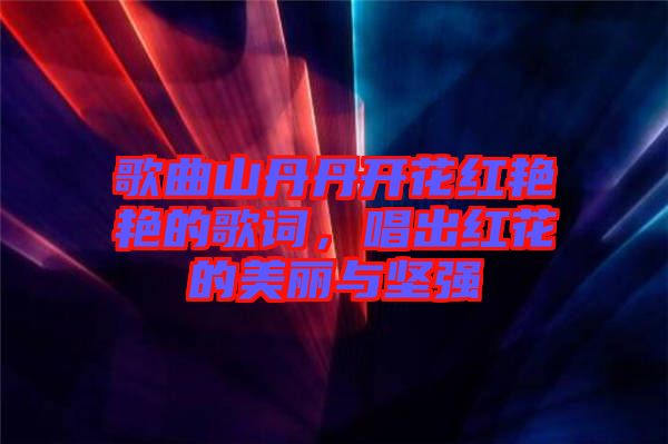 歌曲山丹丹開花紅艷艷的歌詞，唱出紅花的美麗與堅強