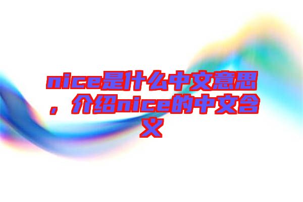nice是什么中文意思，介紹nice的中文含義