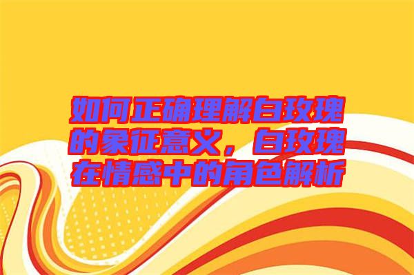 如何正確理解白玫瑰的象征意義，白玫瑰在情感中的角色解析