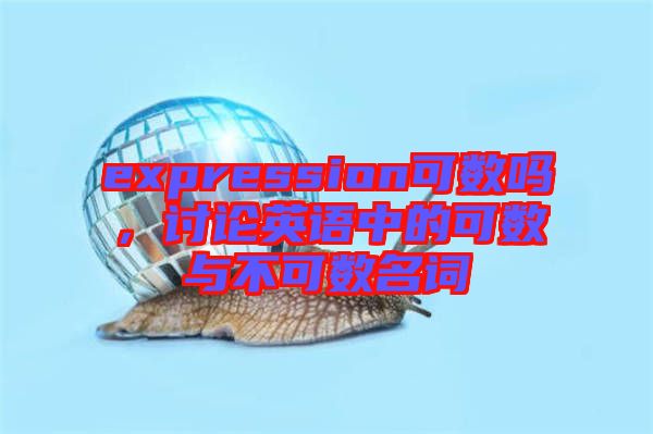 expression可數嗎，討論英語中的可數與不可數名詞