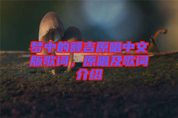 夢中的額吉原唱中文版歌詞，原唱及歌詞介紹