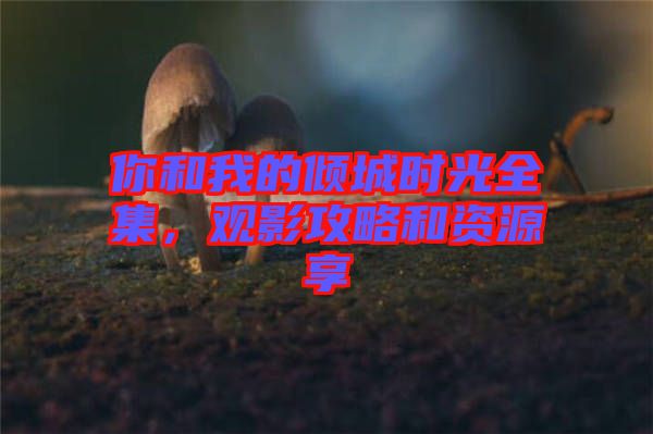 你和我的傾城時光全集，觀影攻略和資源享
