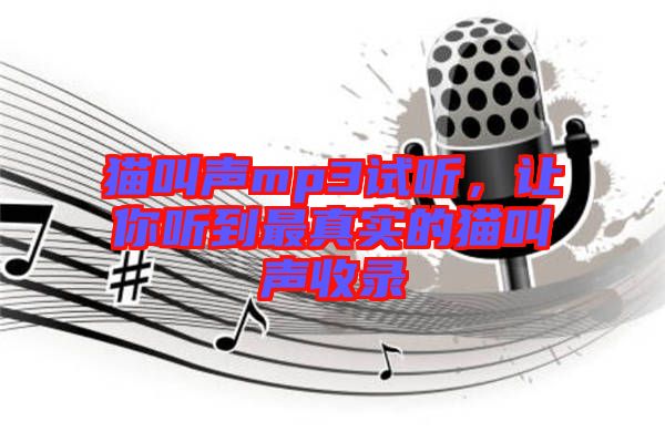 貓叫聲mp3試聽，讓你聽到最真實的貓叫聲收錄