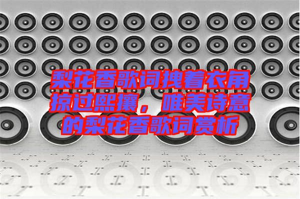 梨花香歌詞拽著衣角掠過熙攘，唯美詩意的梨花香歌詞賞析