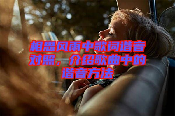 相思風雨中歌詞諧音對照，介紹歌曲中的諧音方法