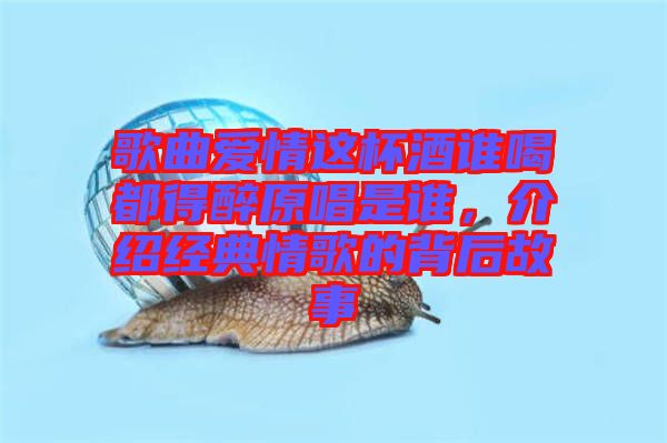 歌曲愛情這杯酒誰(shuí)喝都得醉原唱是誰(shuí)，介紹經(jīng)典情歌的背后故事