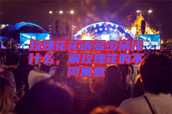 玫瑰花花語多少朵代什么，解玫瑰花的不同寓意