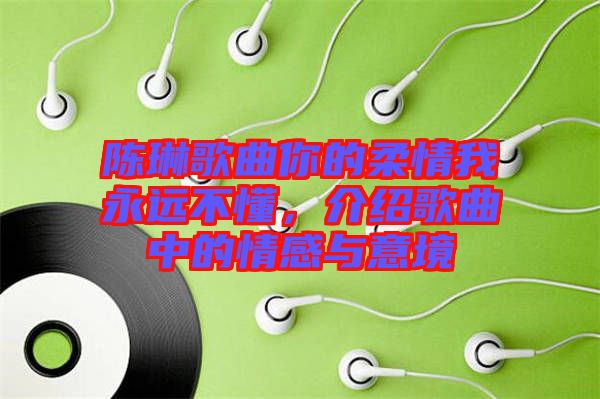 陳琳歌曲你的柔情我永遠不懂，介紹歌曲中的情感與意境