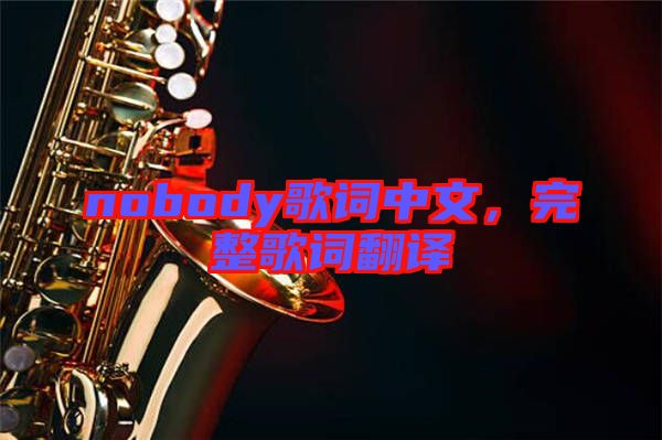 nobody歌詞中文，完整歌詞翻譯