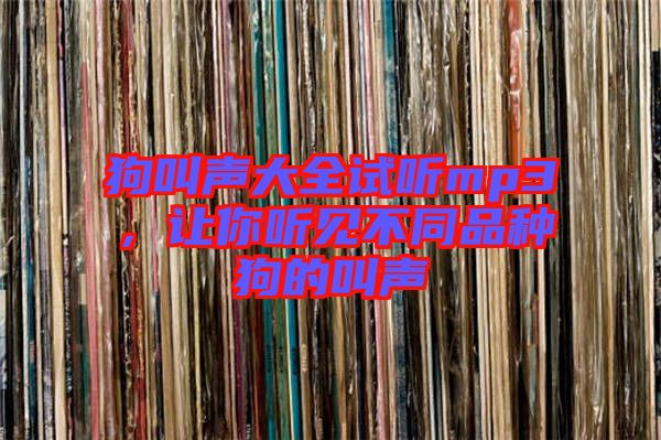狗叫聲大全試聽mp3，讓你聽見不同品種狗的叫聲