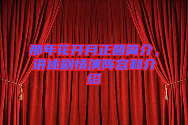 那年花開月正圓簡介，講述劇情演陣容和介紹