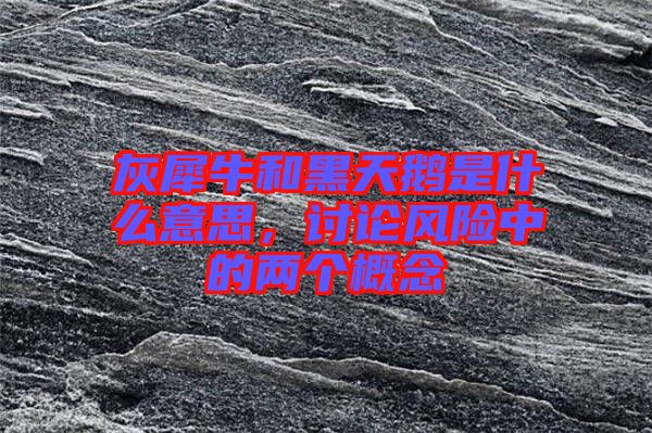 灰犀牛和黑天鵝是什么意思，討論風險中的兩個概念