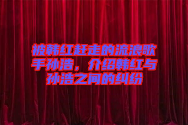 被韓紅趕走的流浪歌手孫浩，介紹韓紅與孫浩之間的糾紛