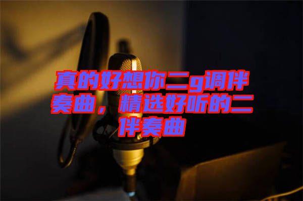 真的好想你二g調(diào)伴奏曲，精選好聽(tīng)的二伴奏曲