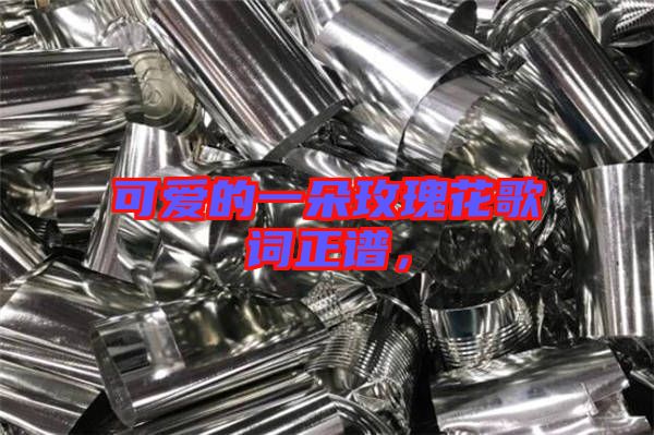可愛的一朵玫瑰花歌詞正譜，