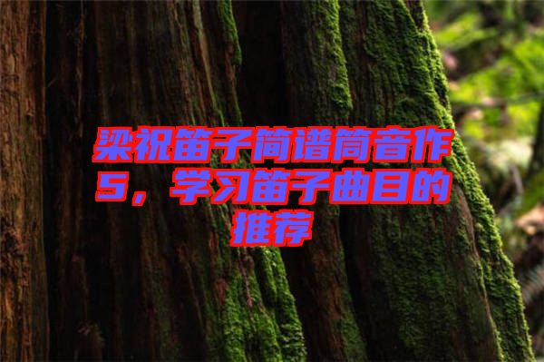 梁祝笛子簡譜筒音作5，學(xué)習(xí)笛子曲目的推薦