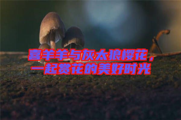 喜羊羊與灰太狼櫻花，一起賞花的美好時光