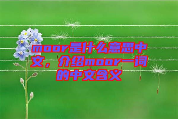 moor是什么意思中文，介紹moor一詞的中文含義