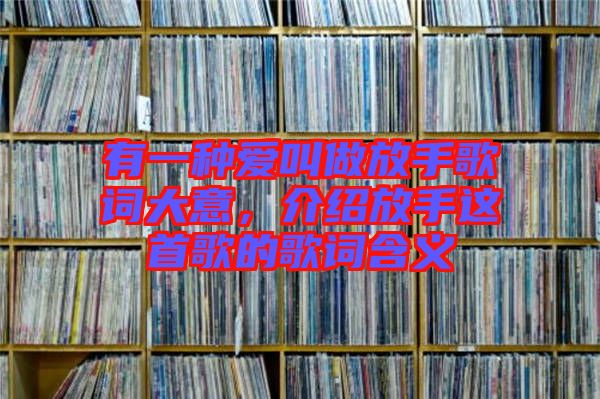有一種愛叫做放手歌詞大意，介紹放手這首歌的歌詞含義