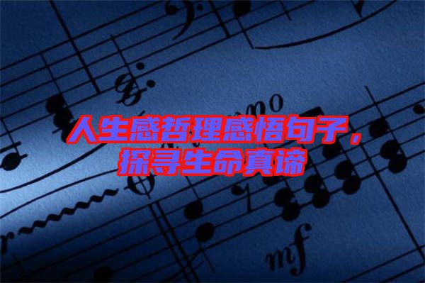 人生感哲理感悟句子，探尋生命真諦