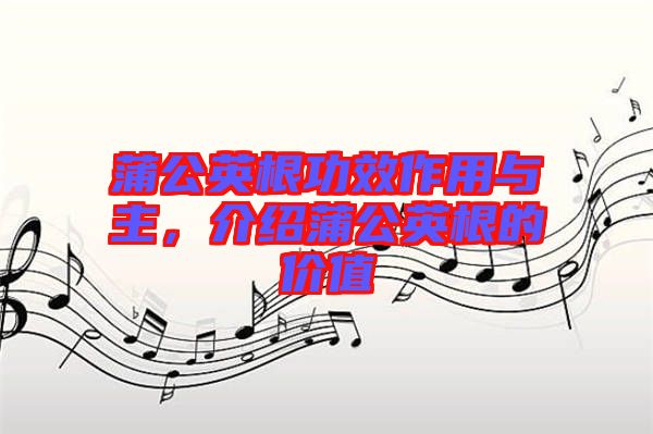 蒲公英根功效作用與主，介紹蒲公英根的價值