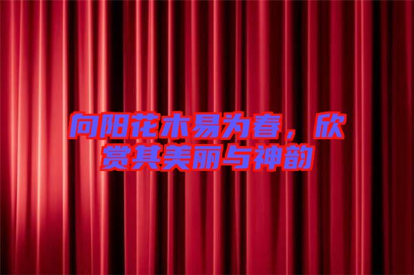 向陽花木易為春，欣賞其美麗與神韻