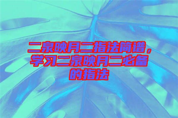二泉映月二指法簡(jiǎn)譜，學(xué)習(xí)二泉映月二必備的指法