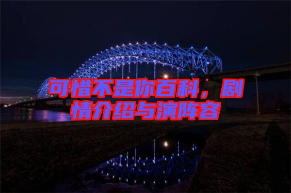 可惜不是你百科，劇情介紹與演陣容