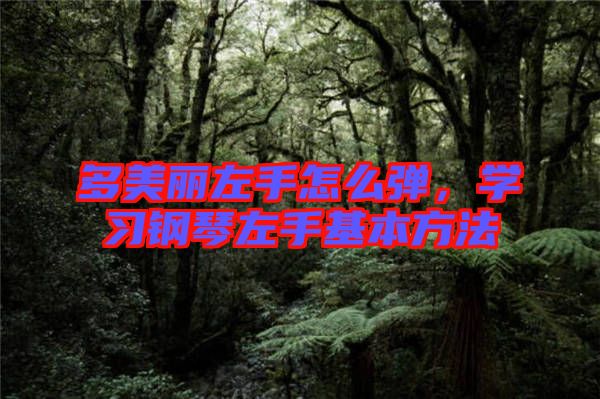 多美麗左手怎么彈，學習鋼琴左手基本方法