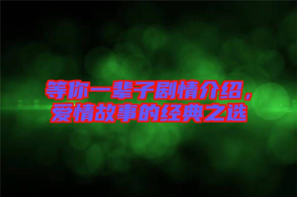 等你一輩子劇情介紹，愛情故事的經典之選