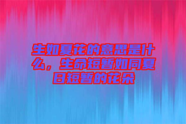 生如夏花的意思是什么，生命短暫如同夏日短暫的花朵