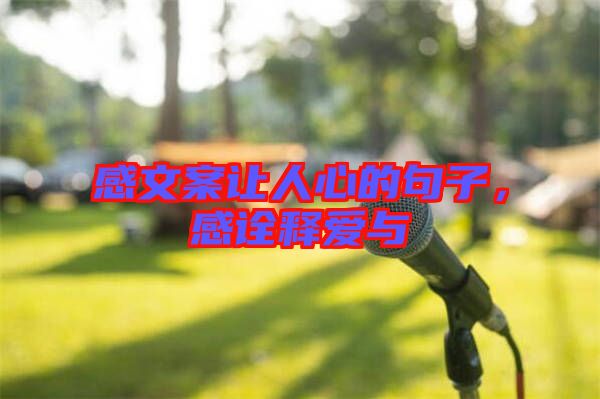 感文案讓人心的句子，感詮釋愛與
