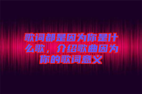 歌詞都是因為你是什么歌，介紹歌曲因為你的歌詞意義