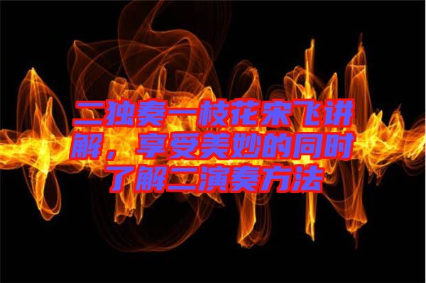 二獨奏一枝花宋飛講解，享受美妙的同時了解二演奏方法
