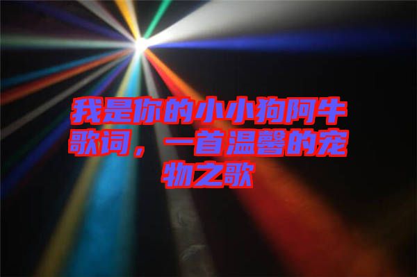 我是你的小小狗阿牛歌詞，一首溫馨的寵物之歌