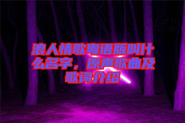 浪人情歌粵語版叫什么名字，原聲歌曲及歌詞介紹