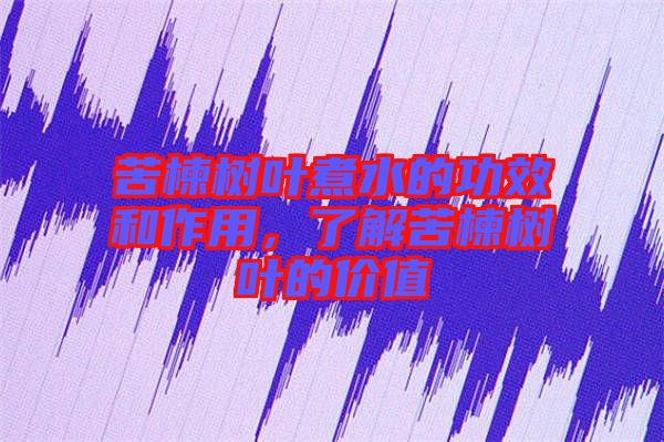 苦楝樹葉煮水的功效和作用，了解苦楝樹葉的價值