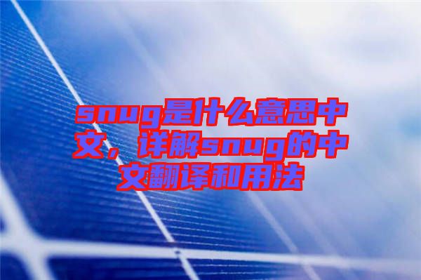 snug是什么意思中文，詳解snug的中文翻譯和用法