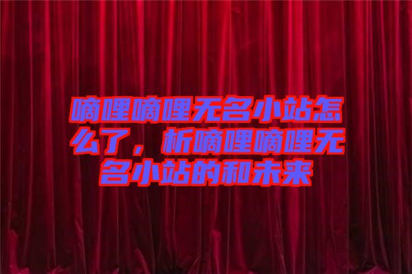 嘀哩嘀哩無名小站怎么了，析嘀哩嘀哩無名小站的和未來