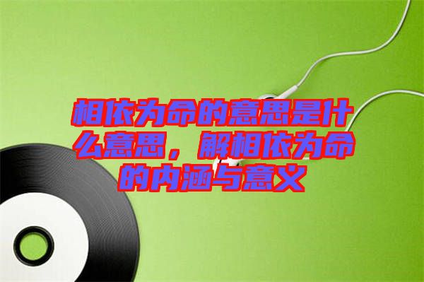 相依為命的意思是什么意思，解相依為命的內涵與意義