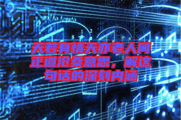 天若有情天亦老人間正道滄桑意思，解這句話的深刻內涵