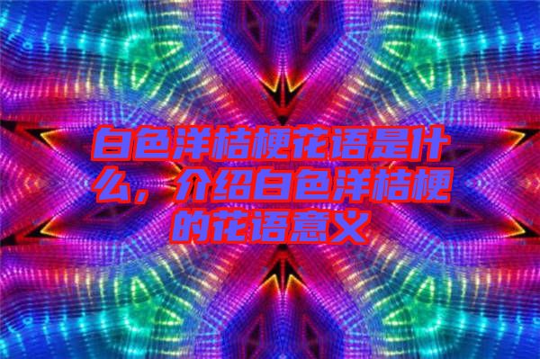 白色洋桔?；ㄕZ是什么，介紹白色洋桔梗的花語意義