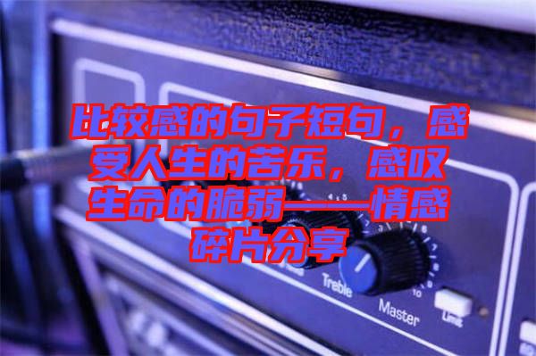 比較感的句子短句，感受人生的苦樂(lè)，感嘆生命的脆弱——情感碎片分享