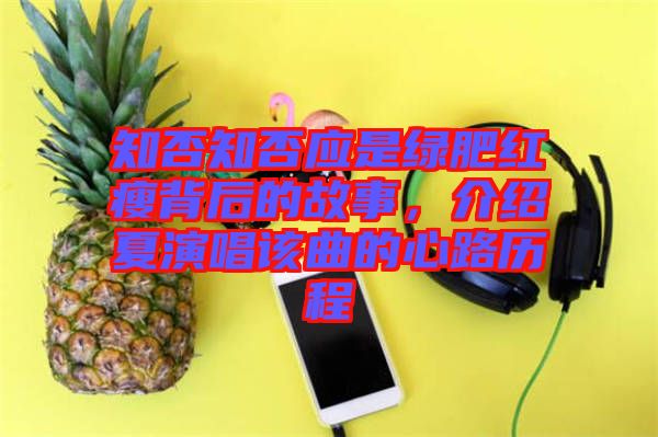 知否知否應是綠肥紅瘦背后的故事，介紹夏演唱該曲的心路歷程