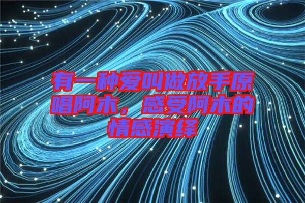 有一種愛叫做放手原唱阿木，感受阿木的情感演繹