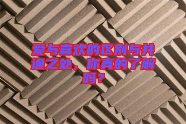 愛(ài)與喜歡的區(qū)別與共通之處，你真的了解嗎？