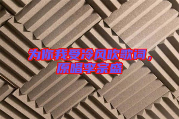 為你我受冷風吹歌詞，原唱李宗盛