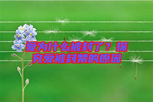 愛為什么被封了？探究愛被封禁的原因