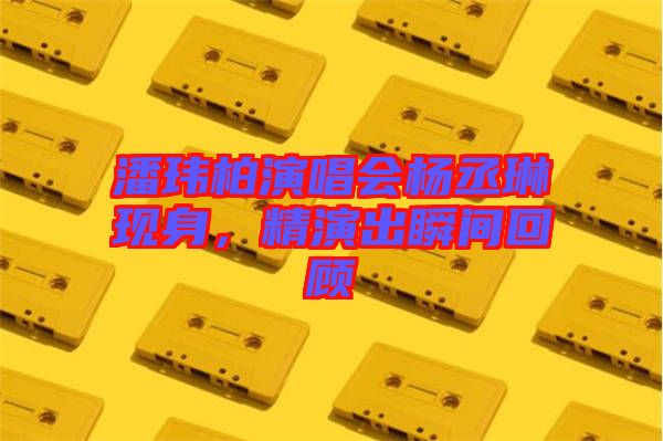 潘瑋柏演唱會楊丞琳現身，精演出瞬間回顧